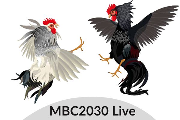 MBC2030