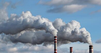 Environmental Toxins Which Can Affect Passage