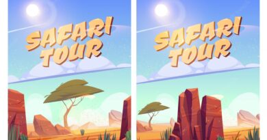 Safari marketing 101: Promoting your Safari tour in 2022