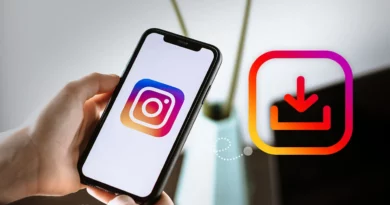 How to Download Instagram Reels With InstaVideoSave