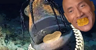 The Travis Scott Fish Meme