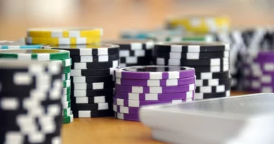 The business Dynamics of online casinos