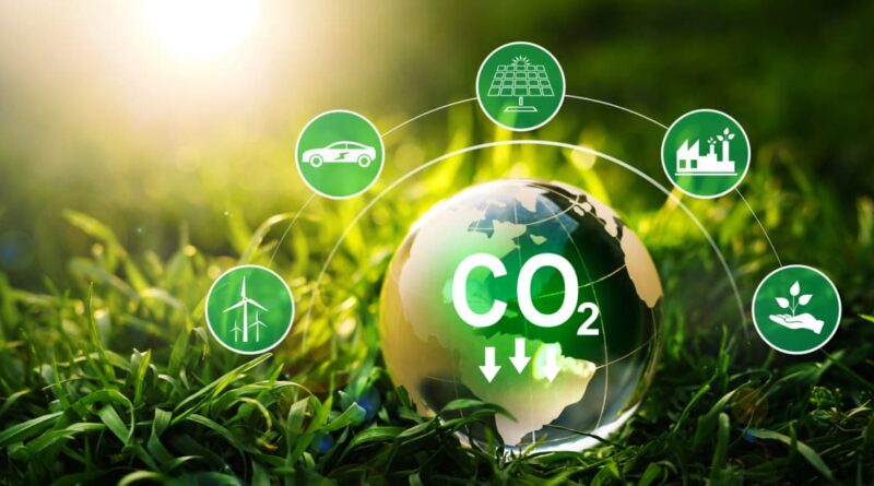 How to Calculate Your Carbon Footprint