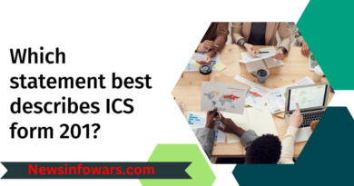 Which Statement Best Describes ICS Form 201