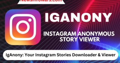 IgAnony: Your Instagram Stories Downloader & Viewer